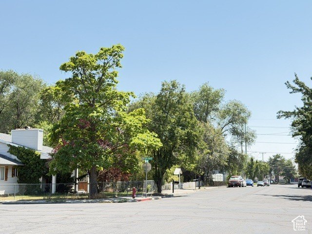 Picture 15