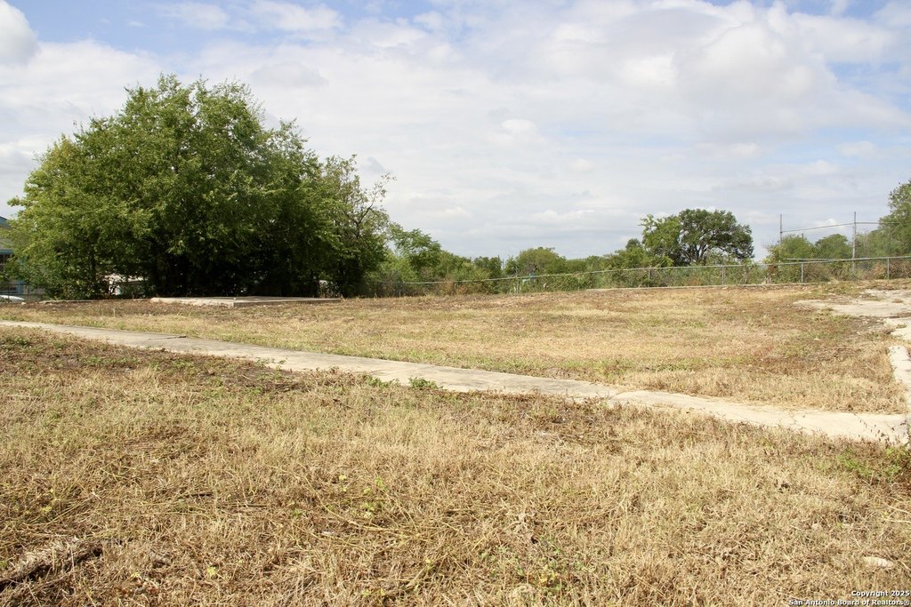 Picture 6