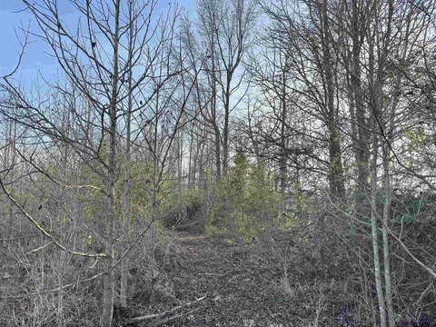 No-Restriction Acreage Tract