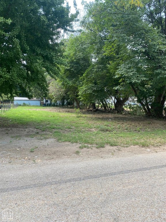Picture 4