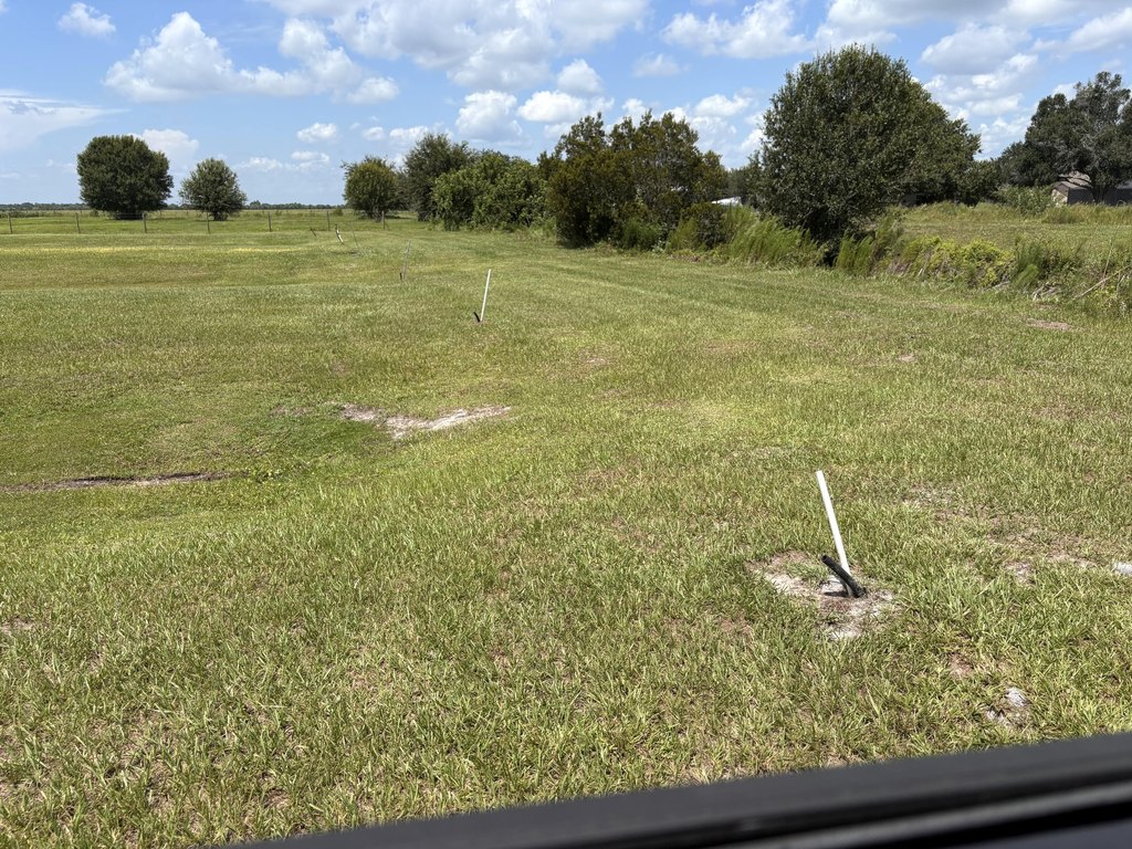 Picture 20