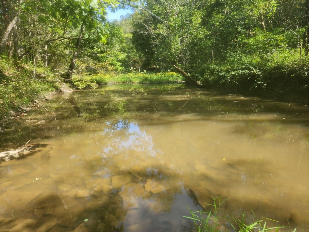 Picture 41