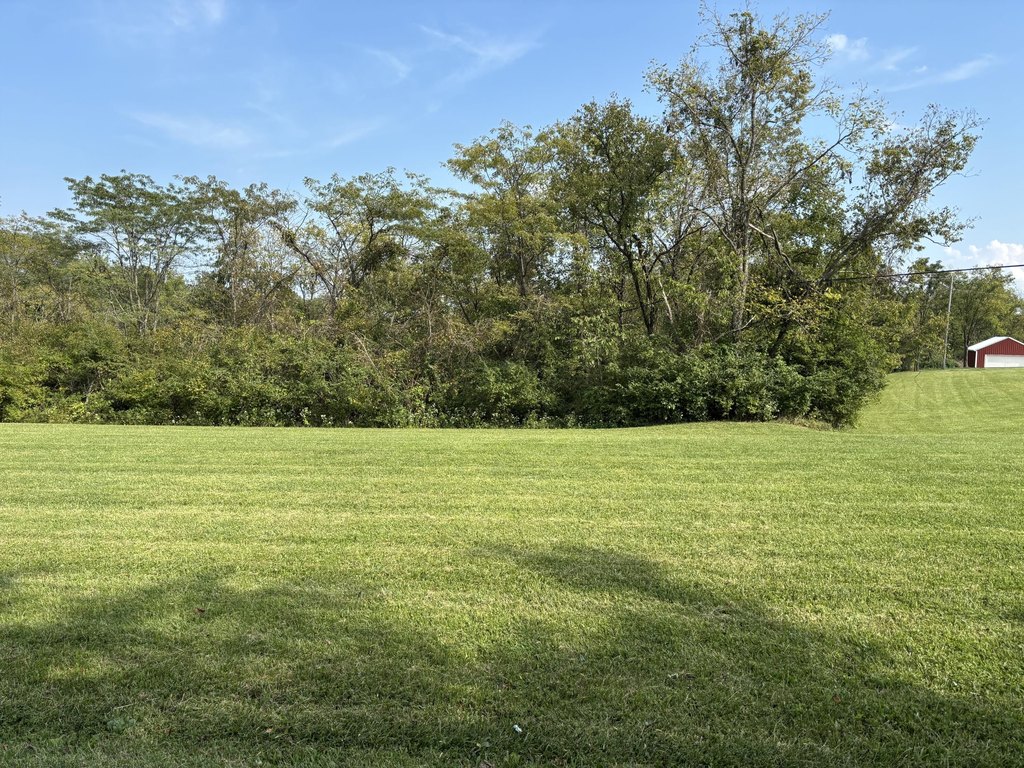 Picture 19