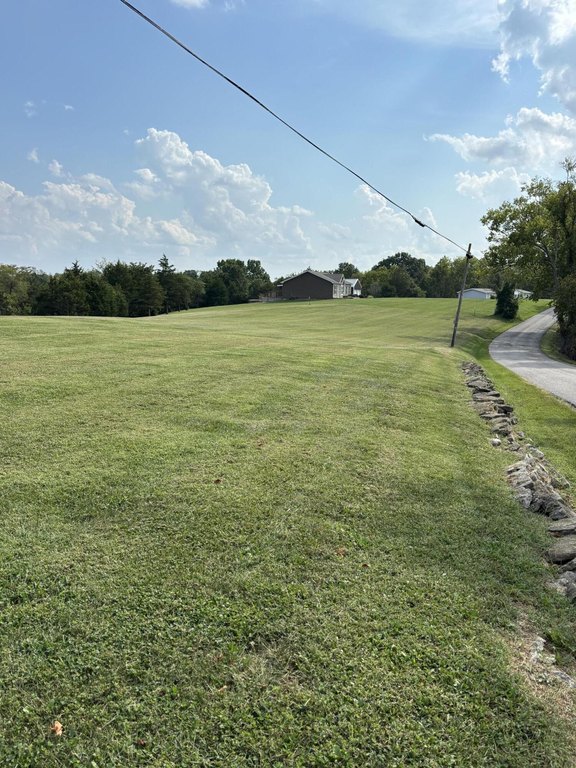 Picture 9