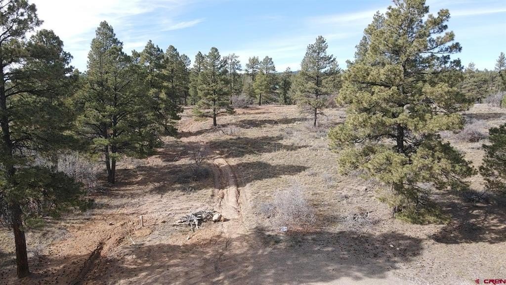 Land in Pagosa Springs, CO