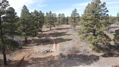 Land in Pagosa Springs, CO