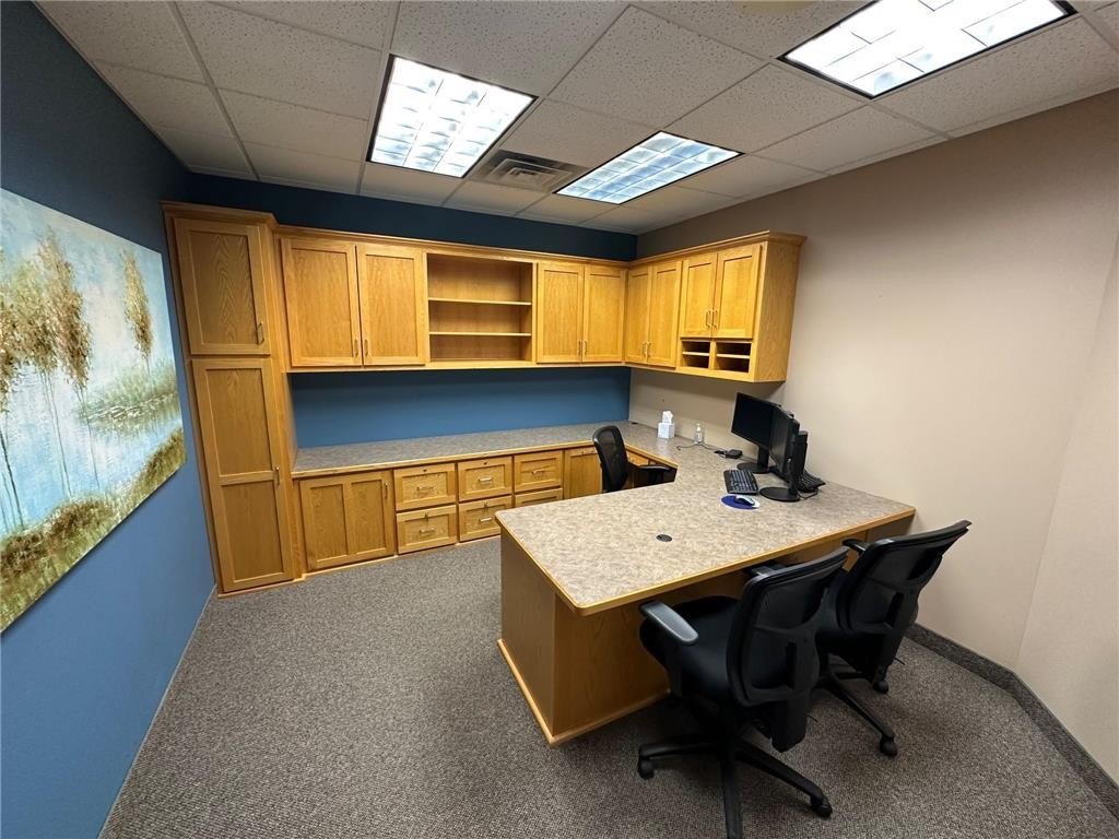 Picture 8