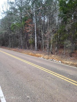 Wooded Lot in Pearl, MS