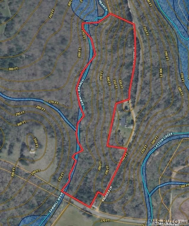 Picture 11