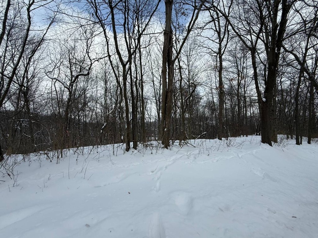Picture 8