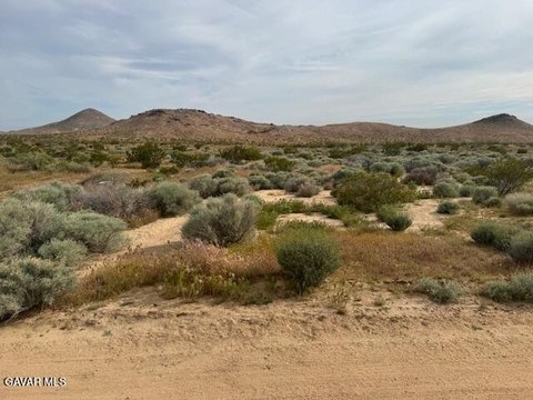 Residential Lot in Rosamond, CA