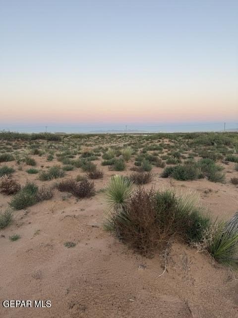 Picture 16