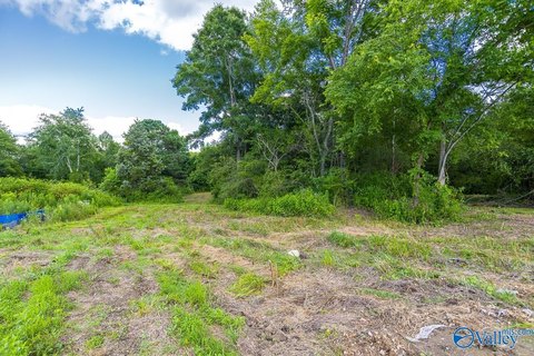 LAND - Hazel Green, AL