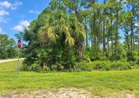 Land, Punta Gorda, FL