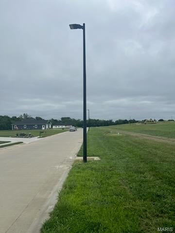 Picture 4