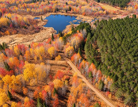 Hunting Land with Trail System