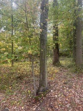 Residential Land in South Brunswick