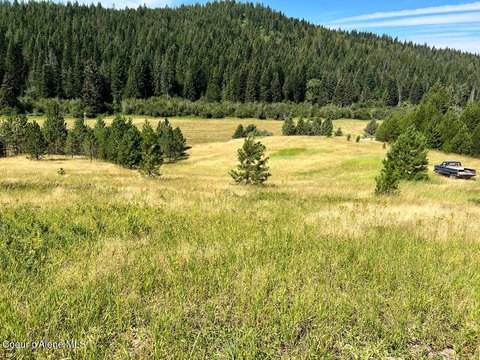 13 Acres of Pasture & Trees