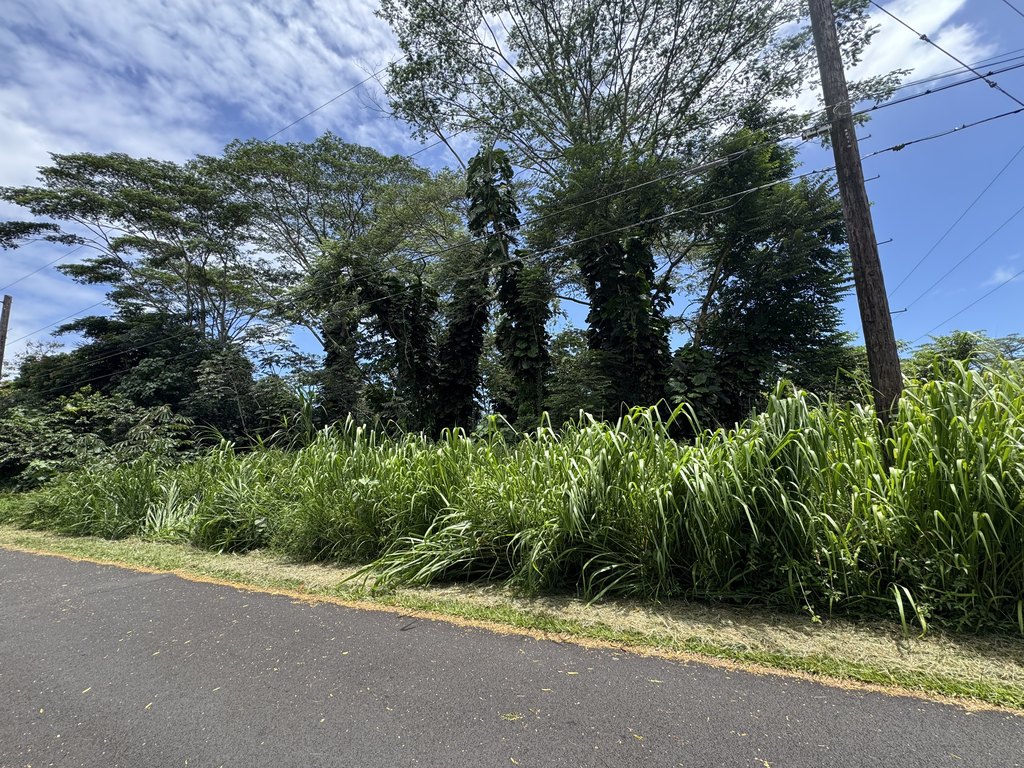Picture 22