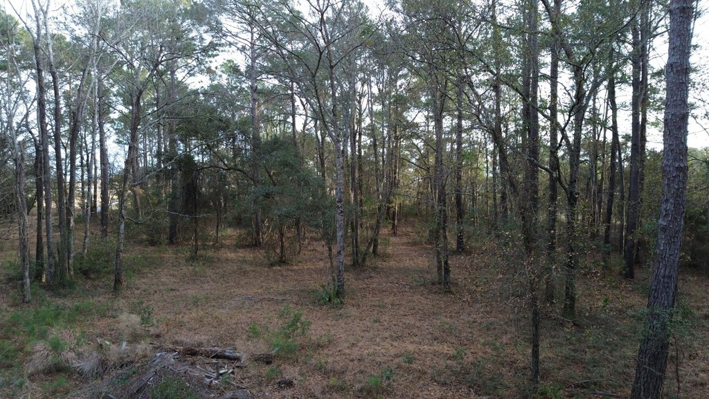 Picture 10