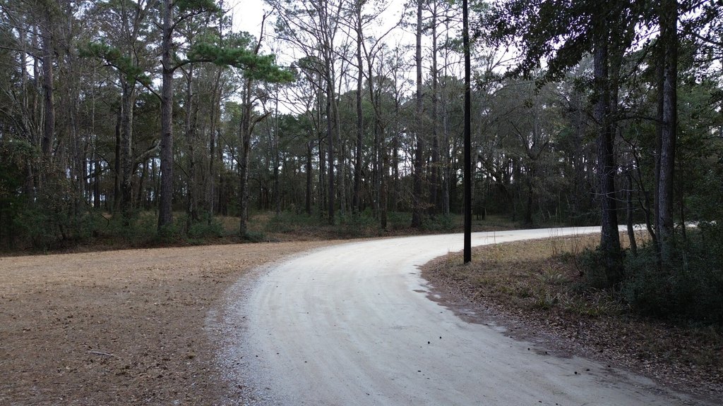Picture 16