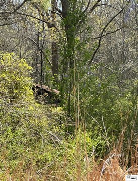 LAND - Jonesboro, LA
