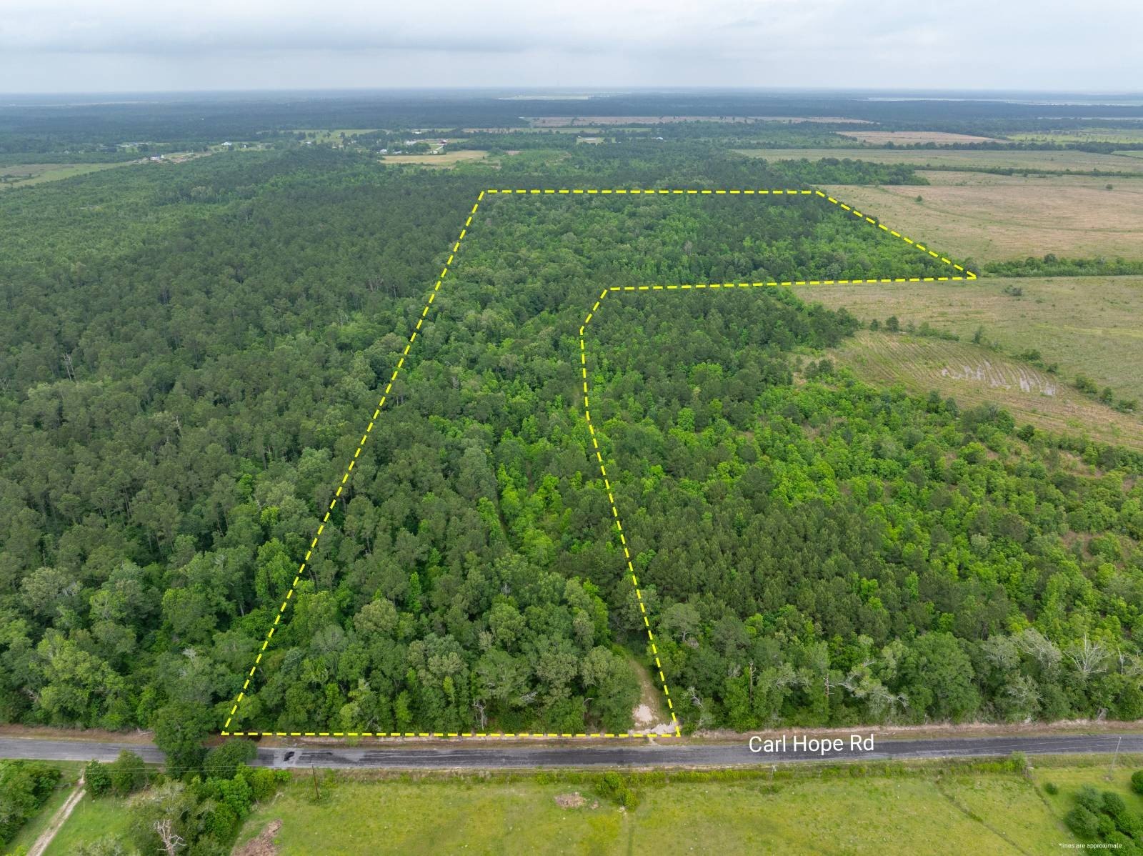 50 Acres Wooded Hunting Land