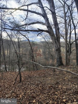 Waterfront Land in Berkeley Springs