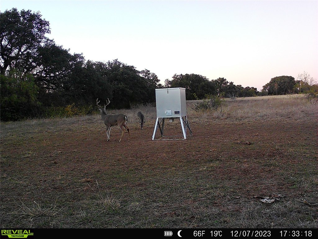 Picture 31
