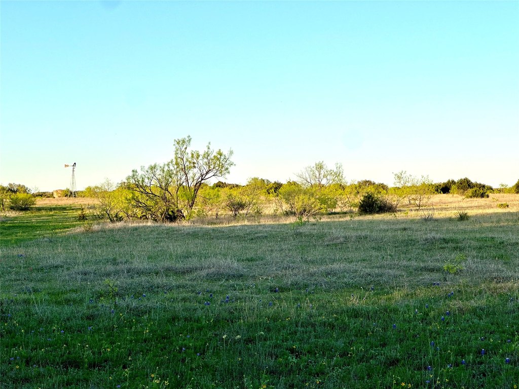 Picture 36