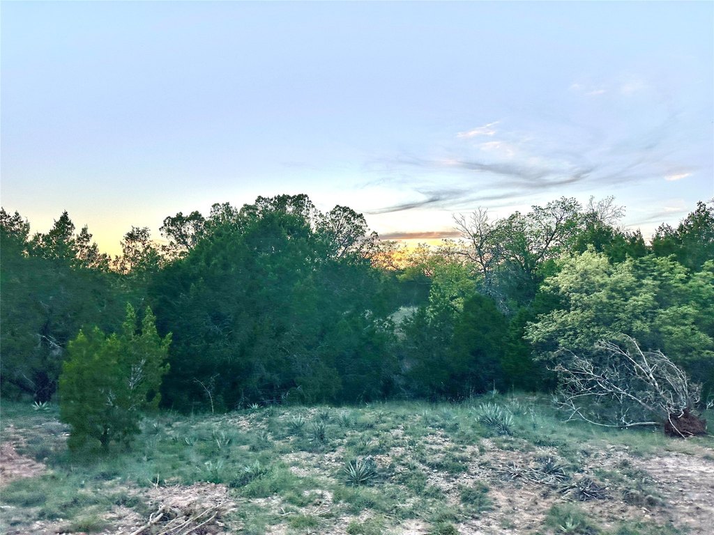 Picture 29