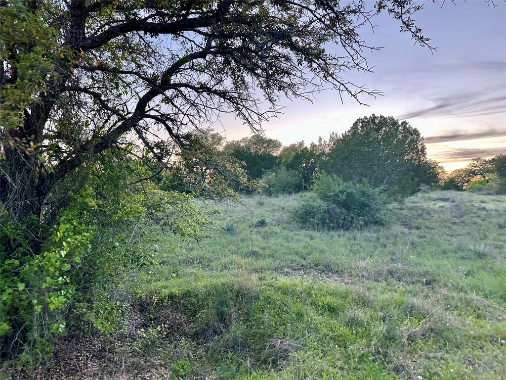 Picture 30