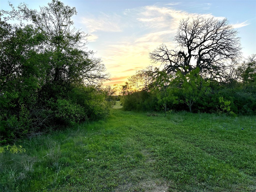Picture 18