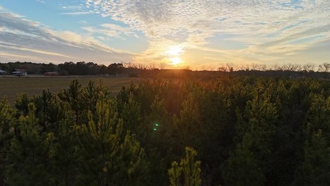 LAND - Headland, AL