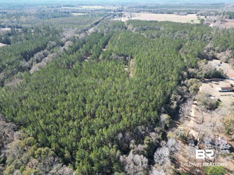 Wooded Acreage with Road Frontage