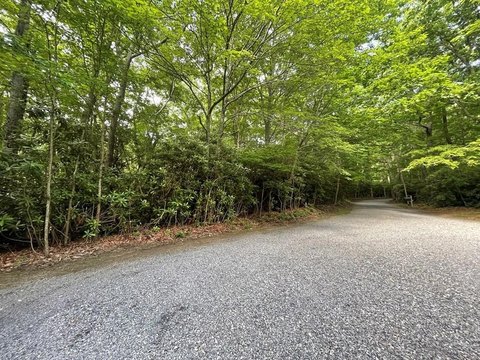 Two Wooded Lots Near Parkway