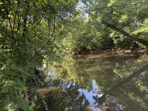 LAND - Tellico Plains, TN