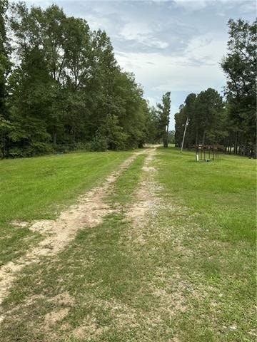Picture 3