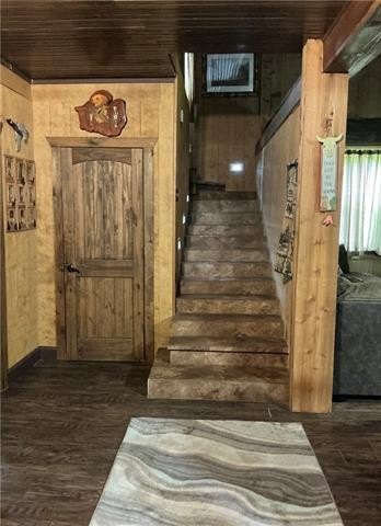 Picture 20