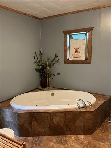 Picture 23