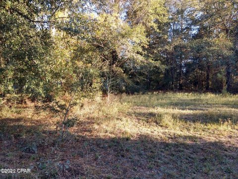 Bonifay, FL Land For Sale