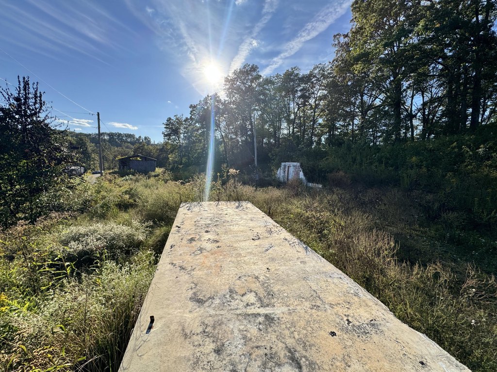 Picture 25