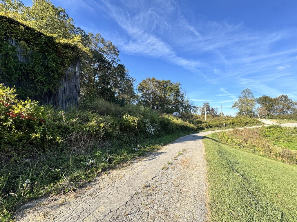 Picture 19