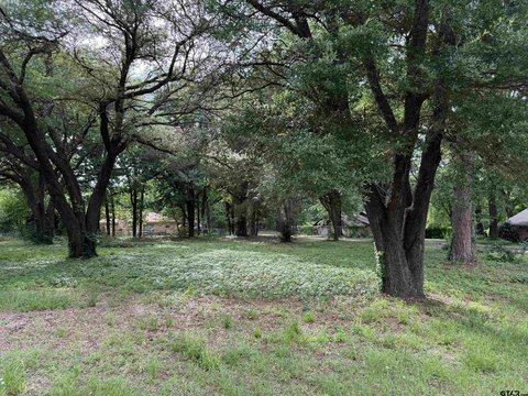Residential Lot in Hawkins, TX
