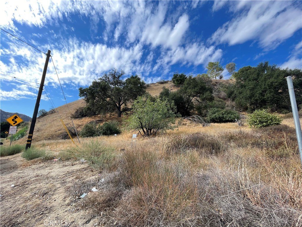 Picture 13