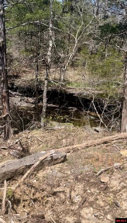 Picture 8