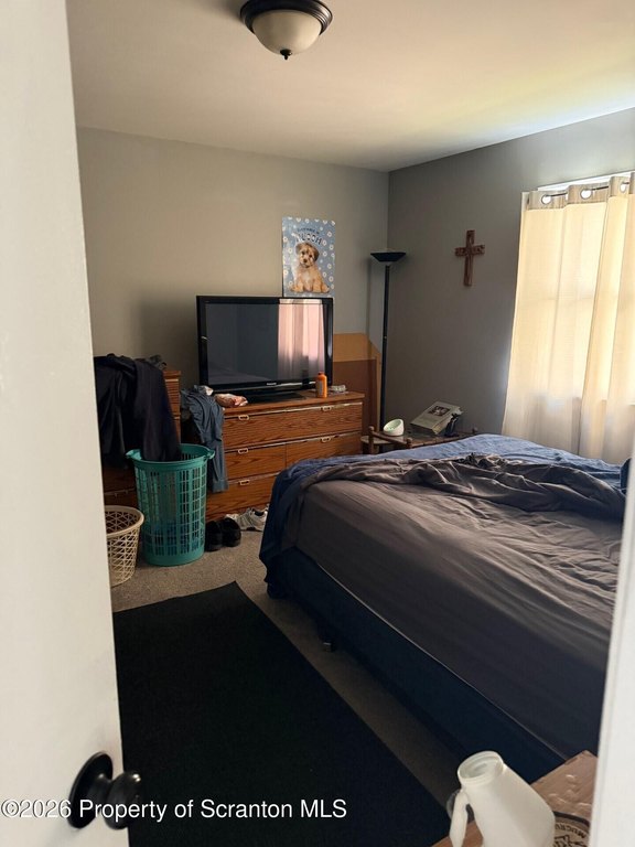 Picture 14