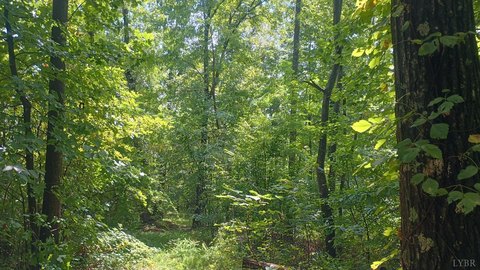 LAND - Tyro, VA