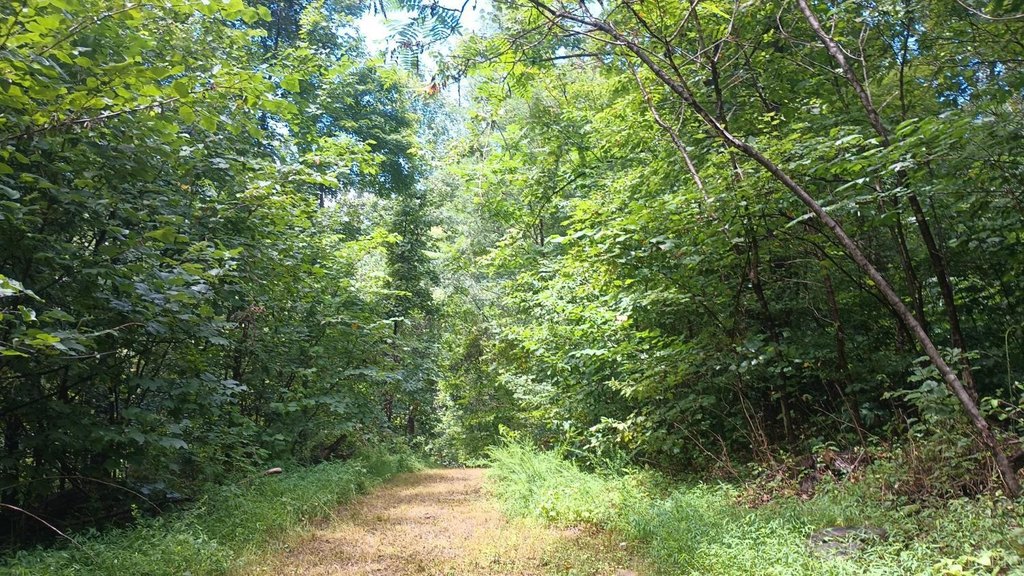 Picture 10
