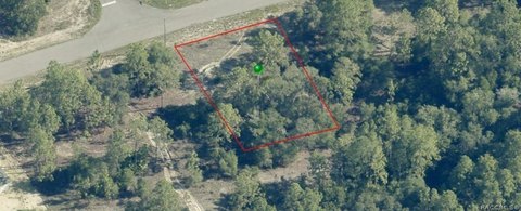 Land, Dunnellon, FL
